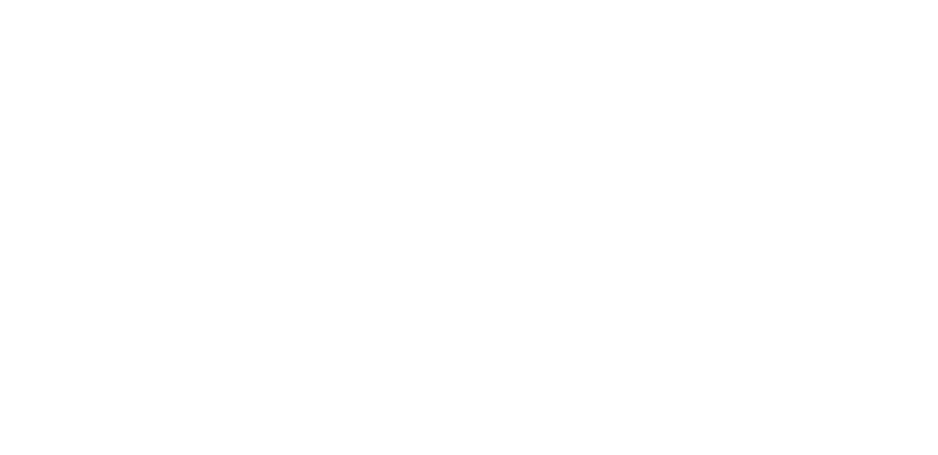 Savoy Systems